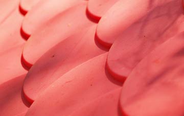 Trequite plastic roof costs