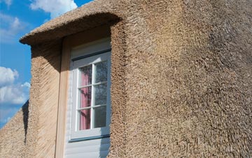Trequite thatch roof disadvantages