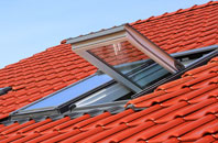 Trequite roof window